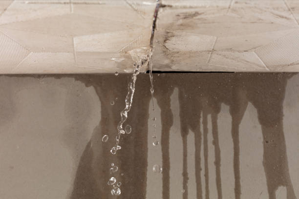 Professional Structural Drying technician working in Iberia, OH